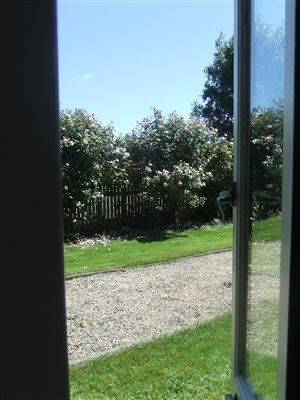 Garden room 2 Garden room 2